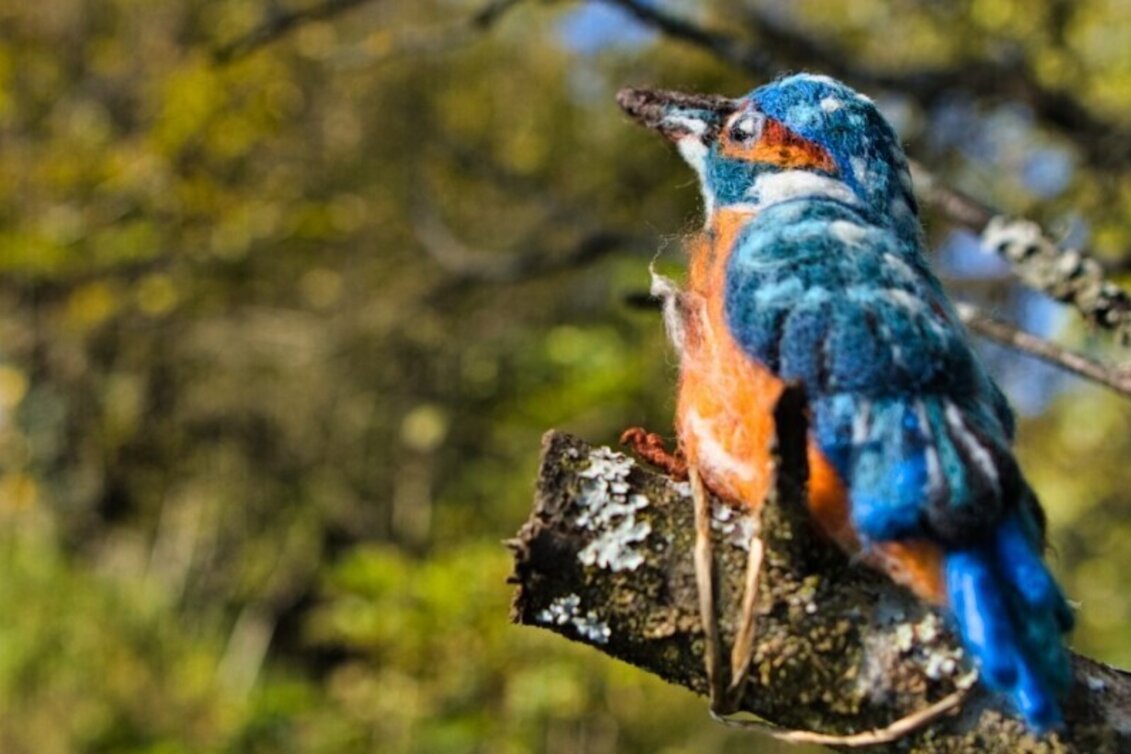 Wanderung Filzkunst-Wanderweg - Touren-Impression #1