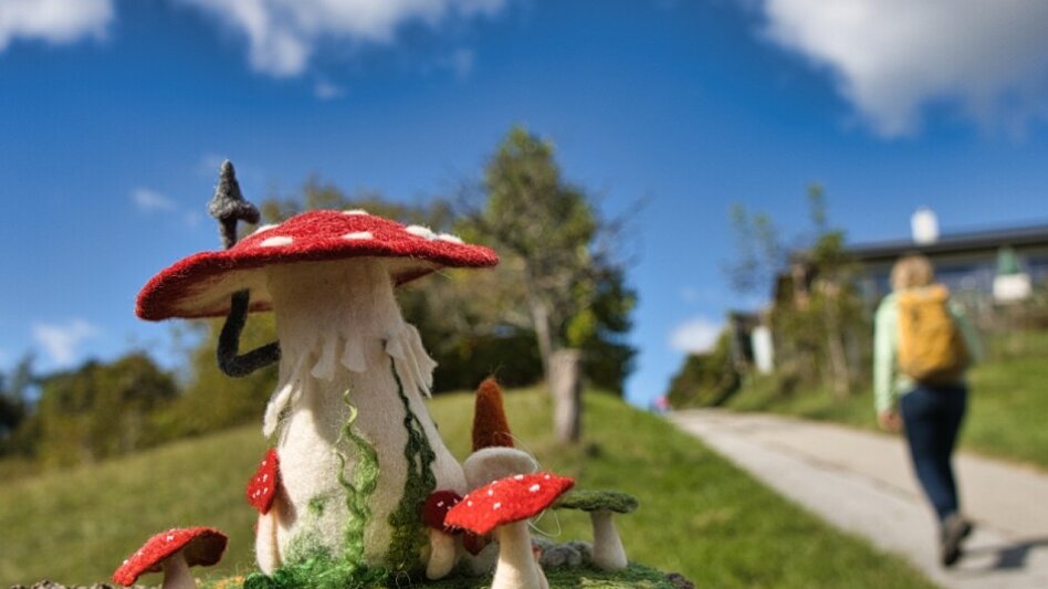 Wanderung Filzkunst-Wanderweg - Touren-Impression #2.4