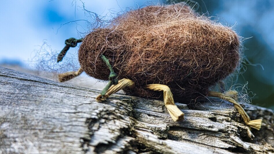 Wanderung Filzkunst-Wanderweg - Touren-Impression #2.7