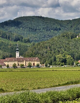 IMG_4696.jpg | Weges OG | © Weges OG