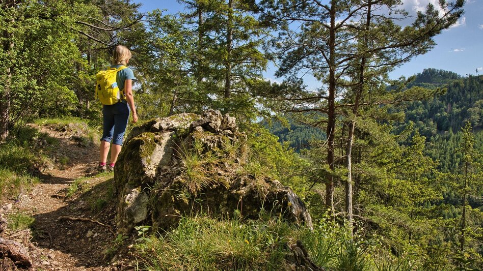 Bike & Hike Rein ins Rad- und Wandervergnügen - Touren-Impression #2.2 | © Weges OG