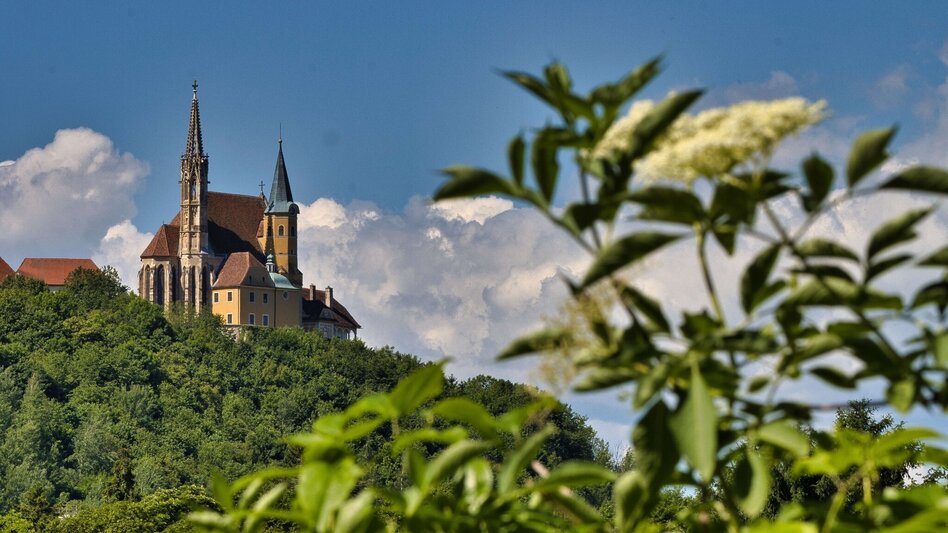 Bike & Hike Rein ins Rad- und Wandervergnügen - Touren-Impression #2.7 | © Weges OG