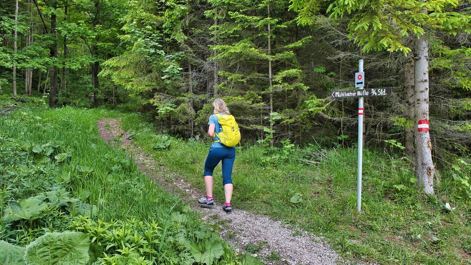Bike & Hike Rein ins Rad- und Wandervergnügen - Touren-Impression #2.9