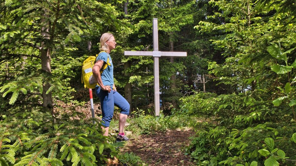Bike & Hike Rein ins Rad- und Wandervergnügen - Touren-Impression #2.13 | © Weges OG
