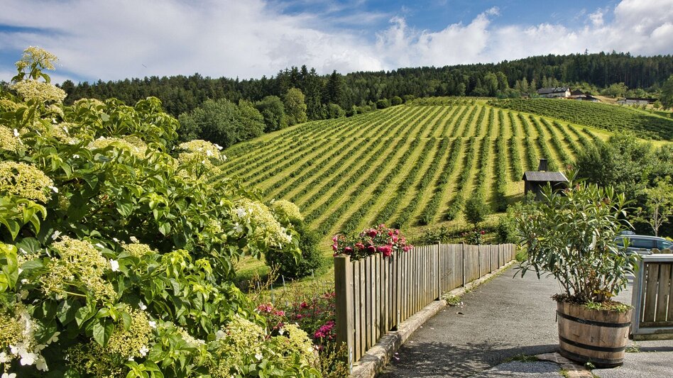 Bike & Hike Die Tour zum - Touren-Impression #2.10 | © Weges OG