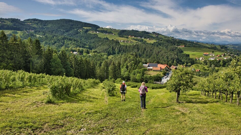 Bike & Hike Die Tour zum - Touren-Impression #2.12 | © Weges OG