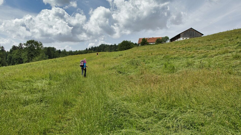 Bike & Hike Die Tour zum - Touren-Impression #2.14 | © Weges OG