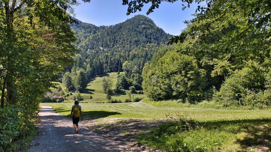 Bike & Hike Wie im Märchen - Touren-Impression #2.11 | © Weges OG