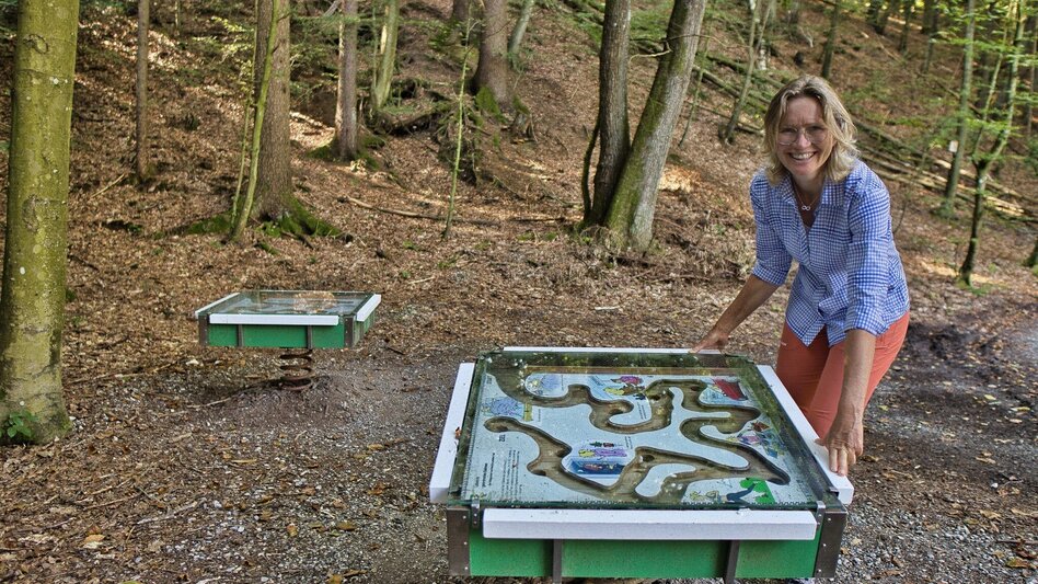 Bike & Hike Auf den Spuren von Sebastian Kneipp - Touren-Impression #2.8 | © Weges OG