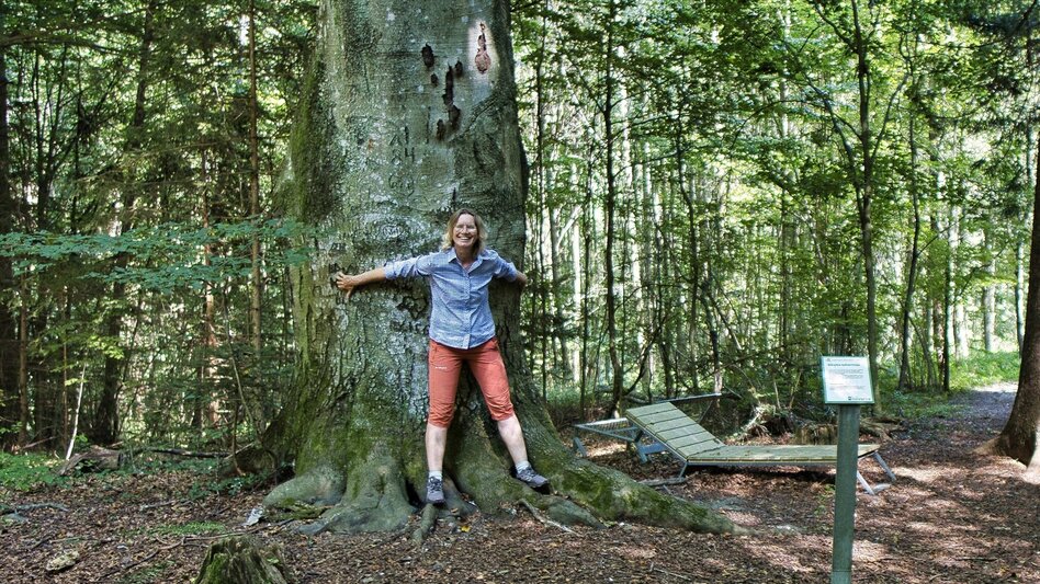 Bike & Hike Auf den Spuren von Sebastian Kneipp - Touren-Impression #2.10 | © Weges OG
