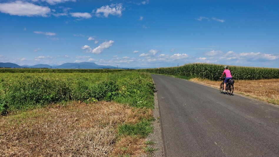 Bike & Hike Ab in den Süden - Mit viel Spaß, Natur und Kultur am Buchkogel - Touren-Impression #2.4 | © Weges OG