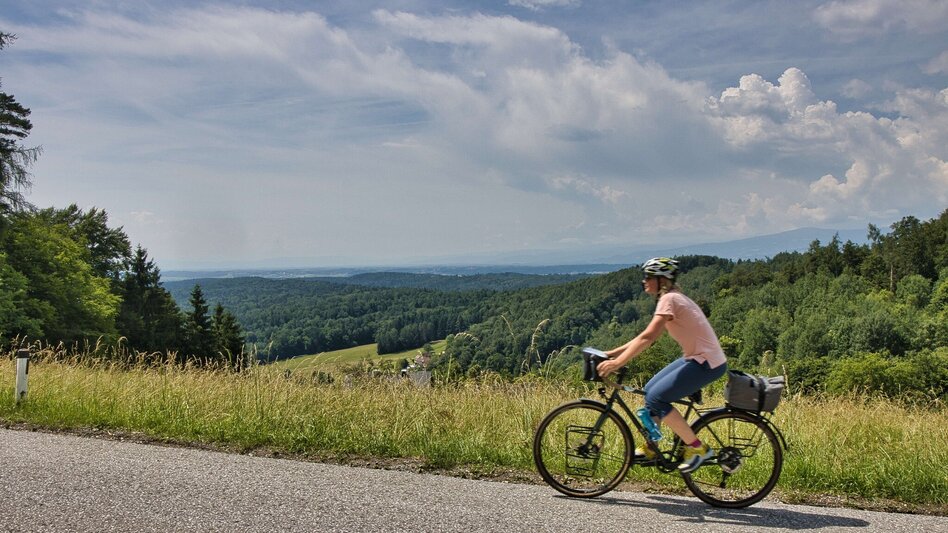 Bike & Hike Ab in den Süden - Mit viel Spaß, Natur und Kultur am Buchkogel - Touren-Impression #2.6 | © Weges OG