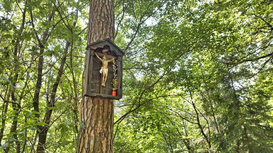 Bike & Hike Ab in den Süden - Mit viel Spaß, Natur und Kultur am Buchkogel - Touren-Impression #2.9 | © Weges OG