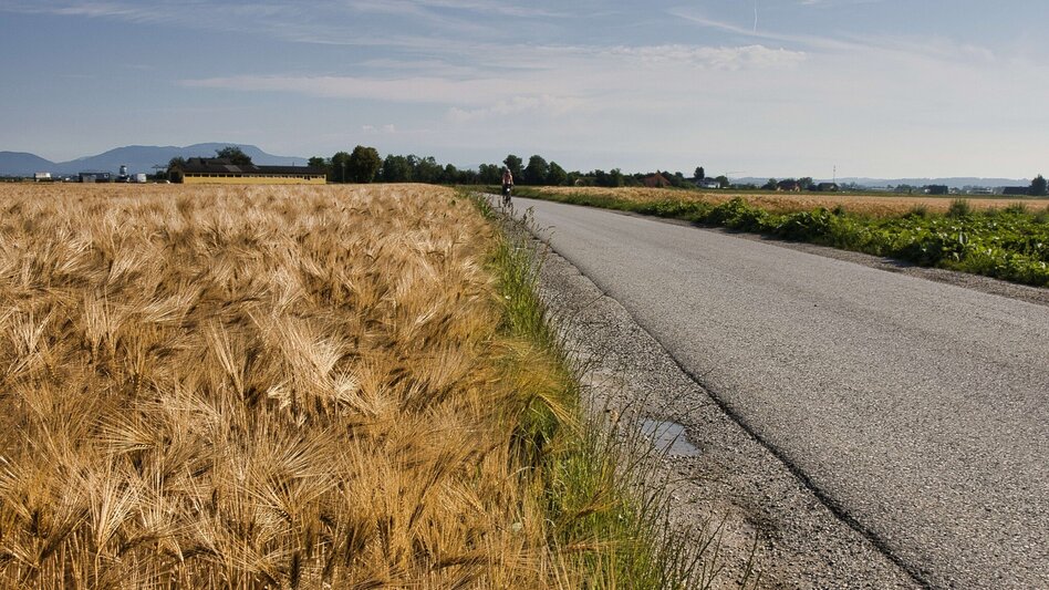 Bike & Hike Ab in den Süden - Skulpturenpark - Touren-Impression #2.4 | © Weges OG