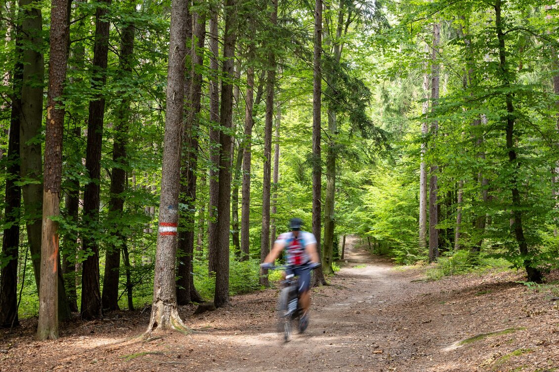 Mountain Biking MTB Projekt Voitsberg - Brendlalm - Touren-Impression #1 | © Region Graz