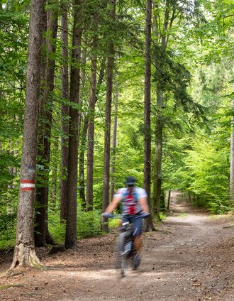 buchkogel_c_region_graz_-_harry_schiffer_291.jpg | Harry Schiffer | © Region Graz