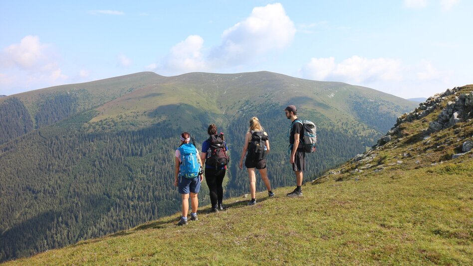 Mountain Biking MTB Projekt Voitsberg - Brendlalm - Touren-Impression #2.4 | © Region Graz