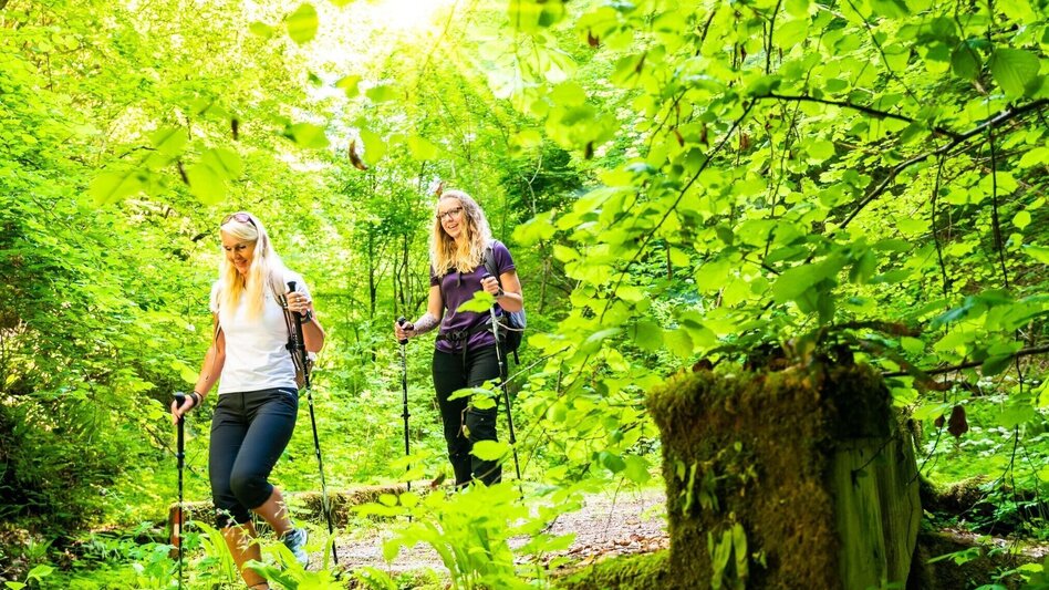 Wanderung Die Badlschlucht – Erlebniswanderung - Touren-Impression #2.2