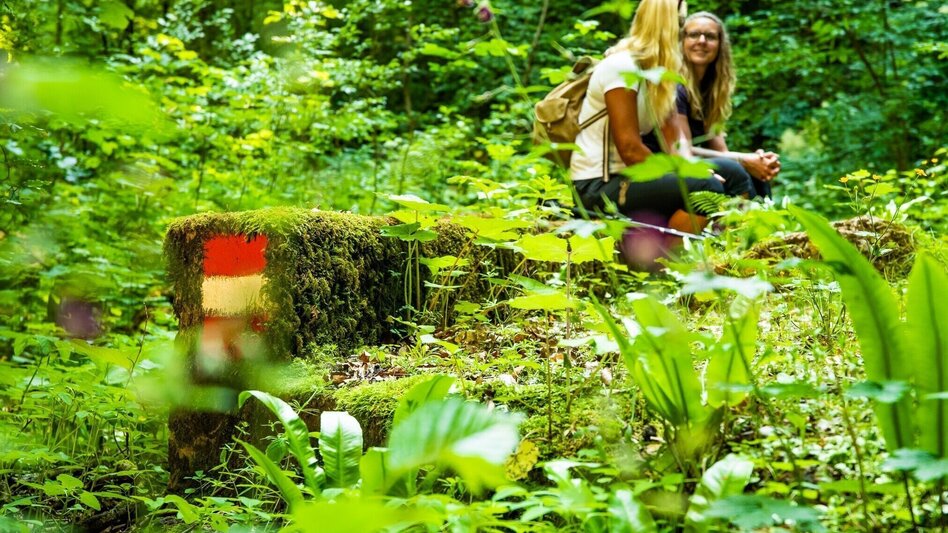 Wanderung Die Badlschlucht – Erlebniswanderung - Touren-Impression #2.3