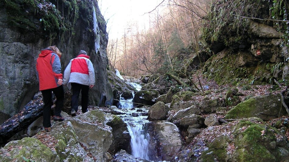 Wanderung Die Badlschlucht – Erlebniswanderung - Touren-Impression #2.6