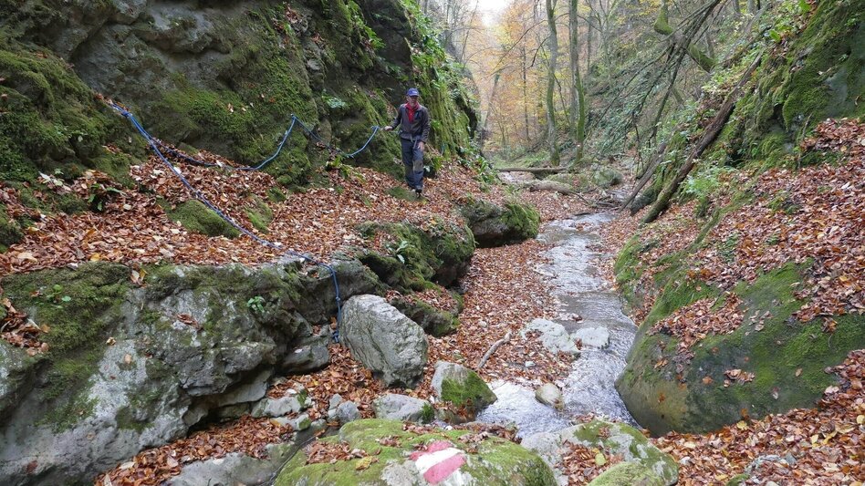 Wanderung Die Badlschlucht – Erlebniswanderung - Touren-Impression #2.7