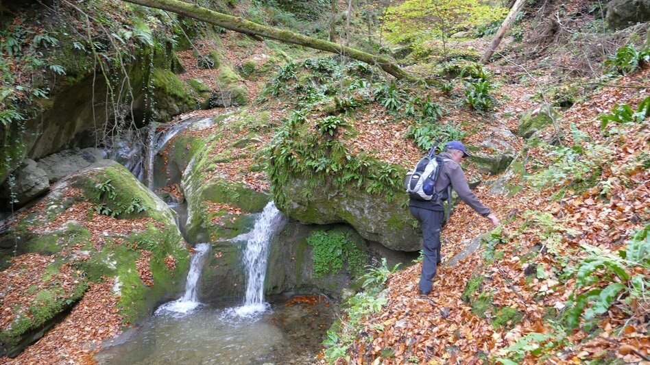 Wanderung Die Badlschlucht – Erlebniswanderung - Touren-Impression #2.9