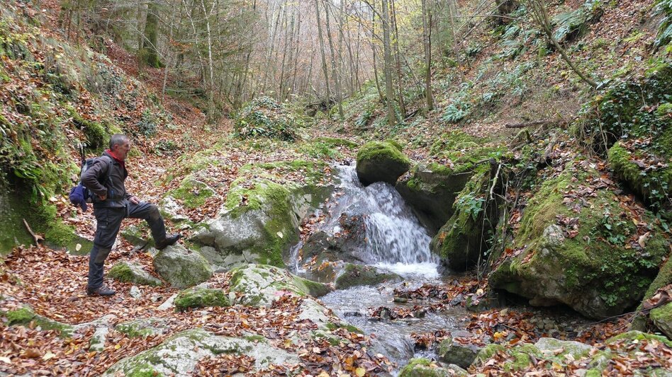 Wanderung Die Badlschlucht – Erlebniswanderung - Touren-Impression #2.10