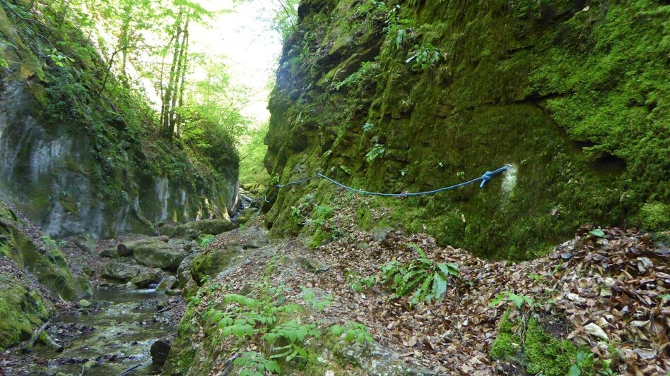 Wanderung Die Badlschlucht – Erlebniswanderung - Touren-Impression #2.11