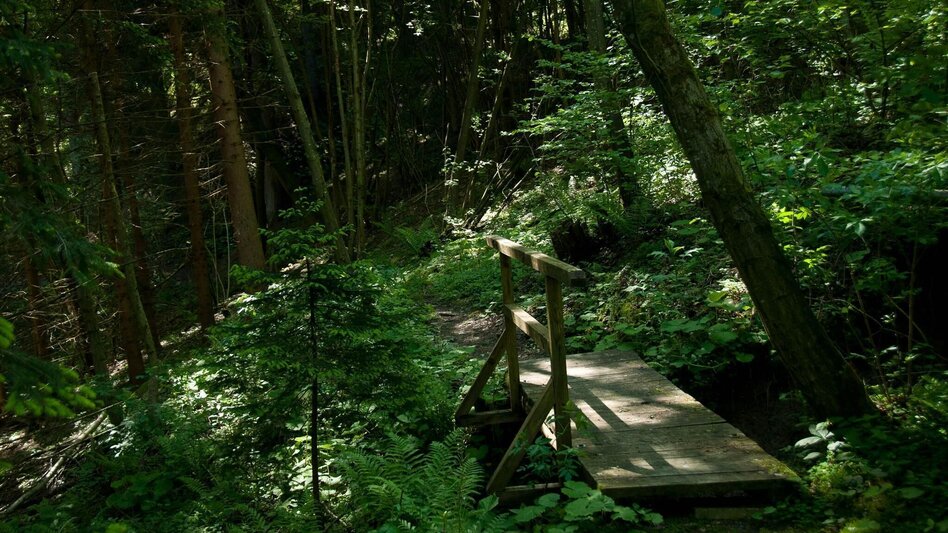 Themen- und Lehrpfad Hexenpfad Rachau - Touren-Impression #2.3 | © Hexenpfad Rachau