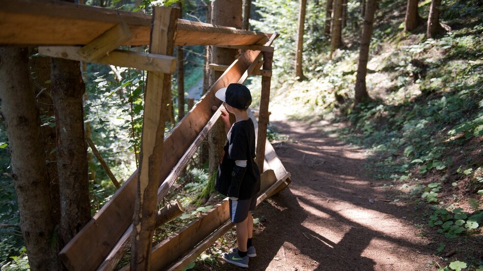 Themen- und Lehrpfad Hexenpfad Rachau - Touren-Impression #2.6