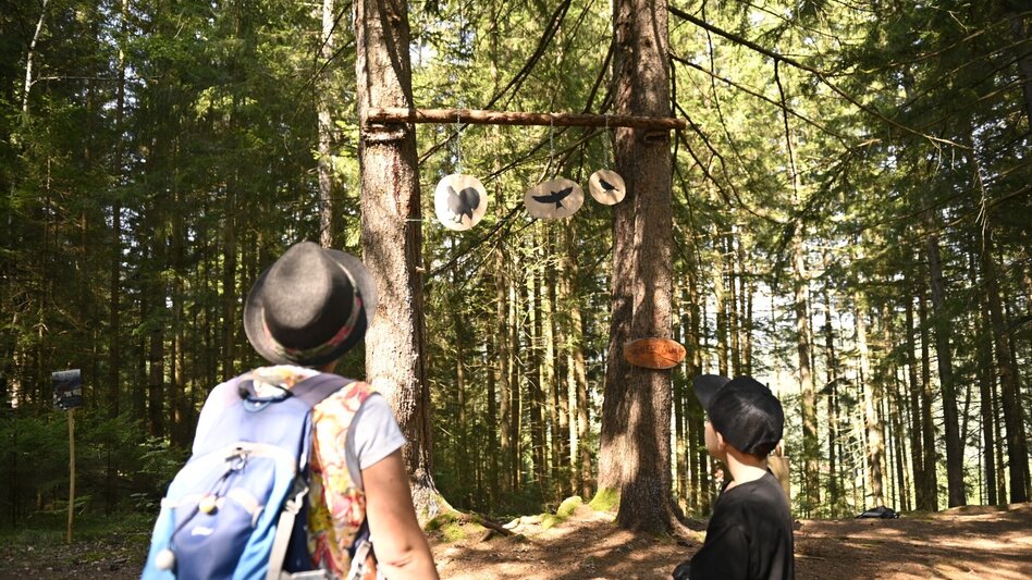 Themen- und Lehrpfad Hexenpfad Rachau - Touren-Impression #2.7 | © Anita Fössl