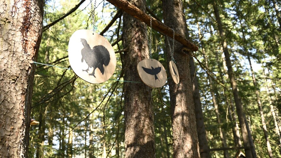 Themen- und Lehrpfad Hexenpfad Rachau - Touren-Impression #2.8 | © Anita Fössl