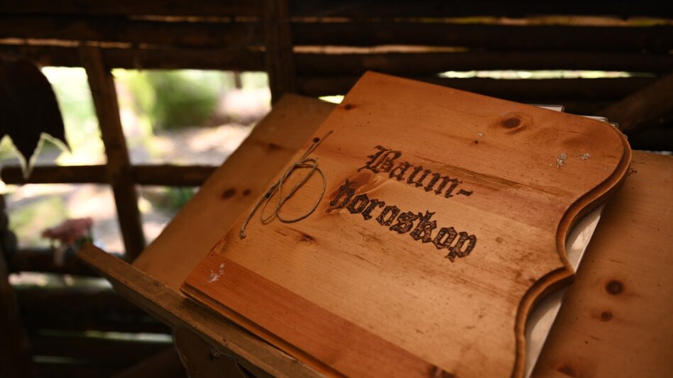 Themen- und Lehrpfad Hexenpfad Rachau - Touren-Impression #2.9 | © Anita Fössl