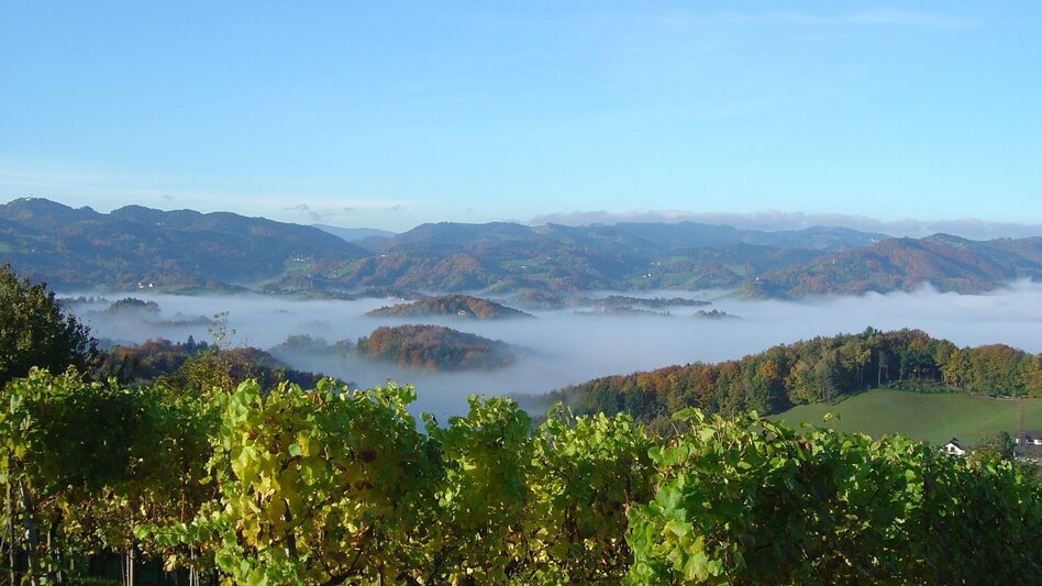 Wanderung Kleeblattwanderweg Nr. 4a  - Wandern in Leutschach a.d.W. - Touren-Impression #2.1 | © Erlebnisregion Südsteiermark