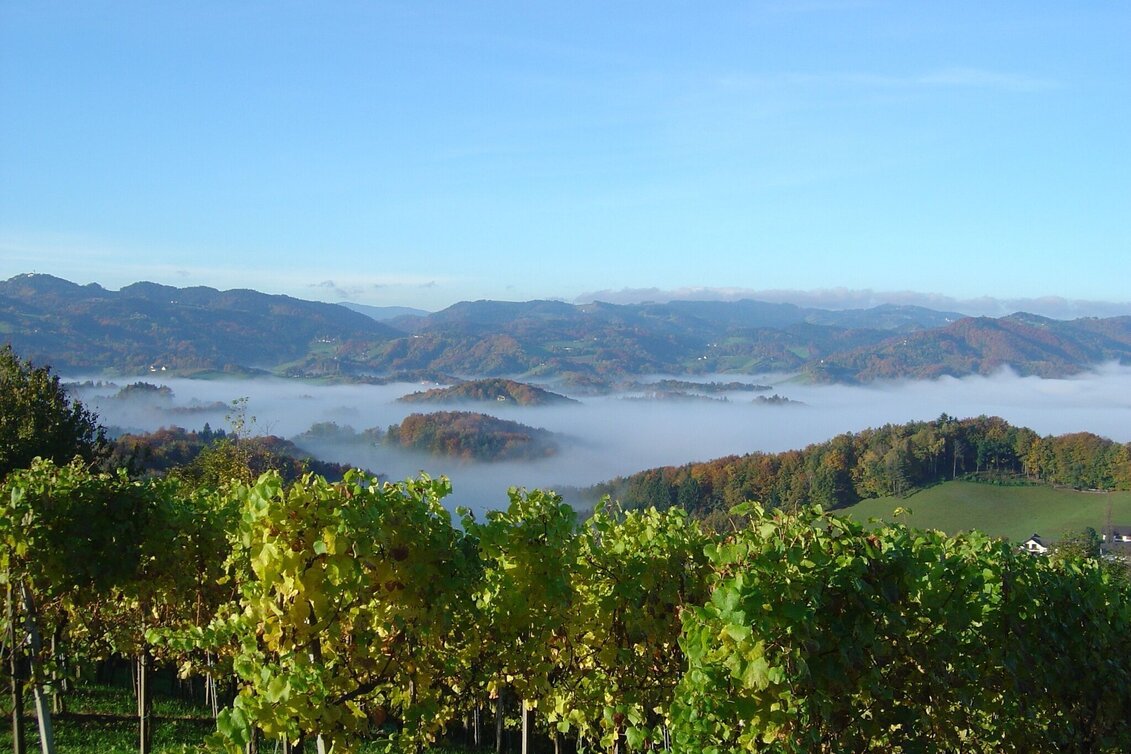 Wanderung Kleeblattwanderweg Nr. 4a  - Wandern in Leutschach a.d.W. - Touren-Impression #1 | © Erlebnisregion Südsteiermark