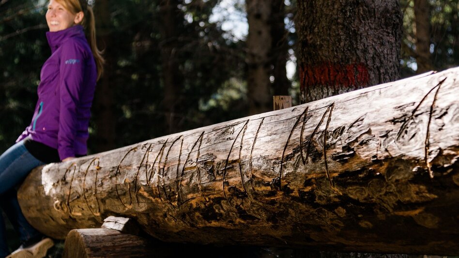 Wanderung Tagestour Übelbach - Zitoll - Touren-Impression #2.3 | © Region Graz