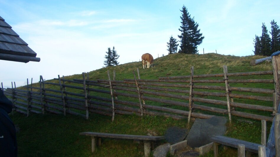 Wanderung Tagestour Übelbach - Zitoll - Touren-Impression #2.6 | © Region Graz