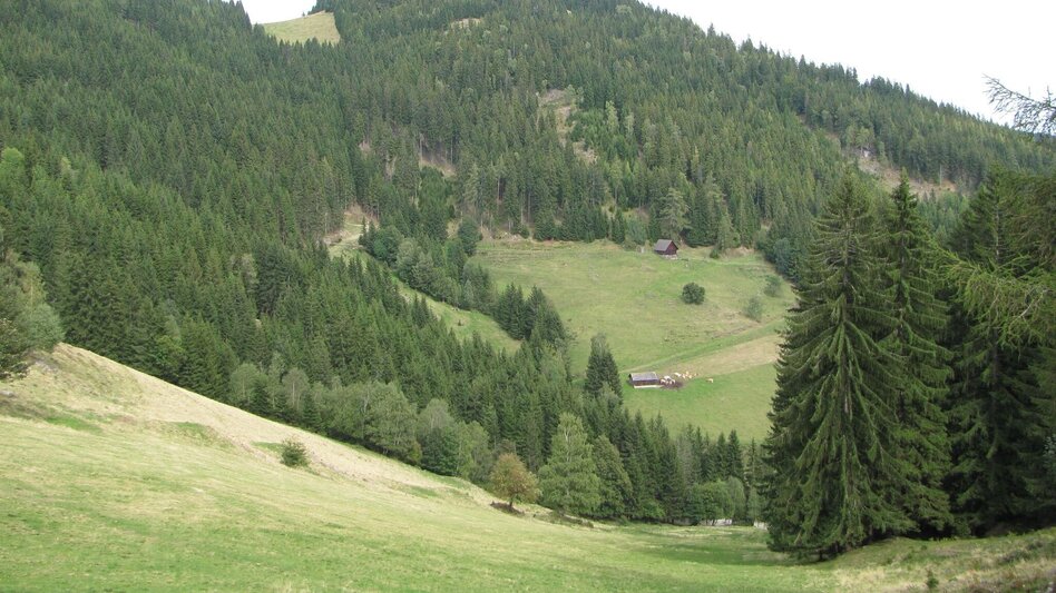 Wanderung Tagestour Übelbach - Zitoll - Touren-Impression #2.7 | © Region Graz