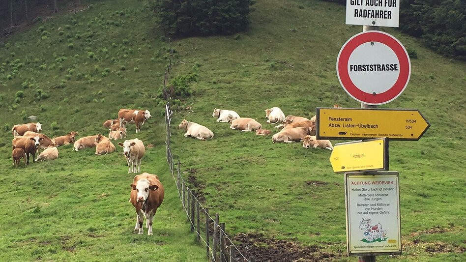 Wanderung Tagestour Übelbach - Zitoll - Touren-Impression #2.8 | © Region Graz