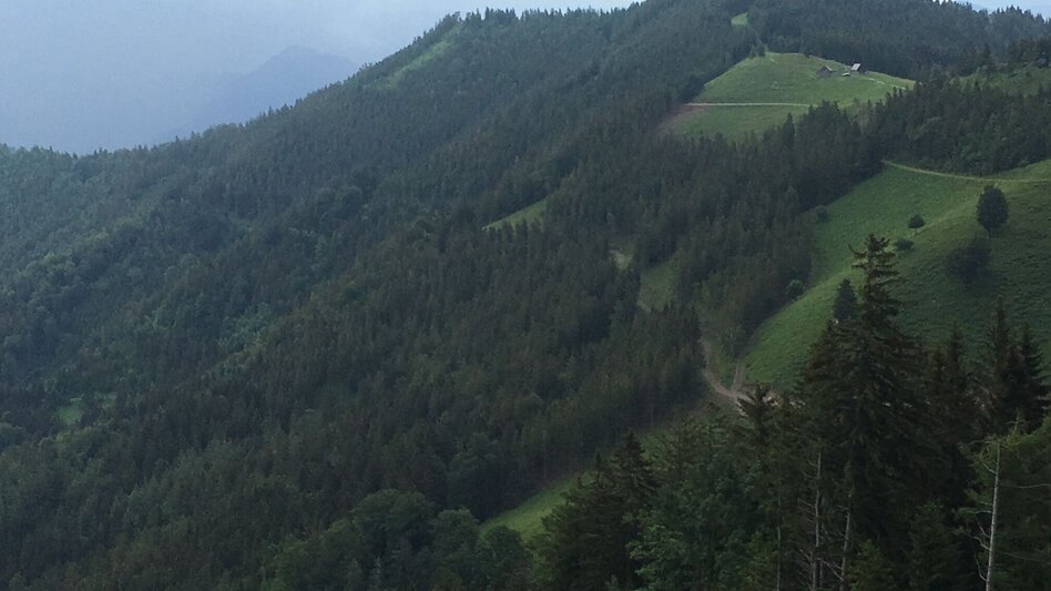 Wanderung Tagestour Übelbach - Zitoll - Touren-Impression #2.10 | © Region Graz