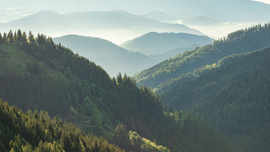 Wanderung Tagestour Übelbach - Zitoll - Touren-Impression #2.13 | © Region Graz