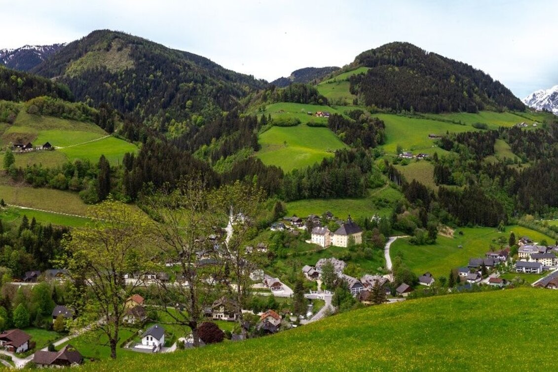 Jogging Donnersbach-Loop - Touren-Impression #1 | © Erlebnisregion Schladming-Dachstein