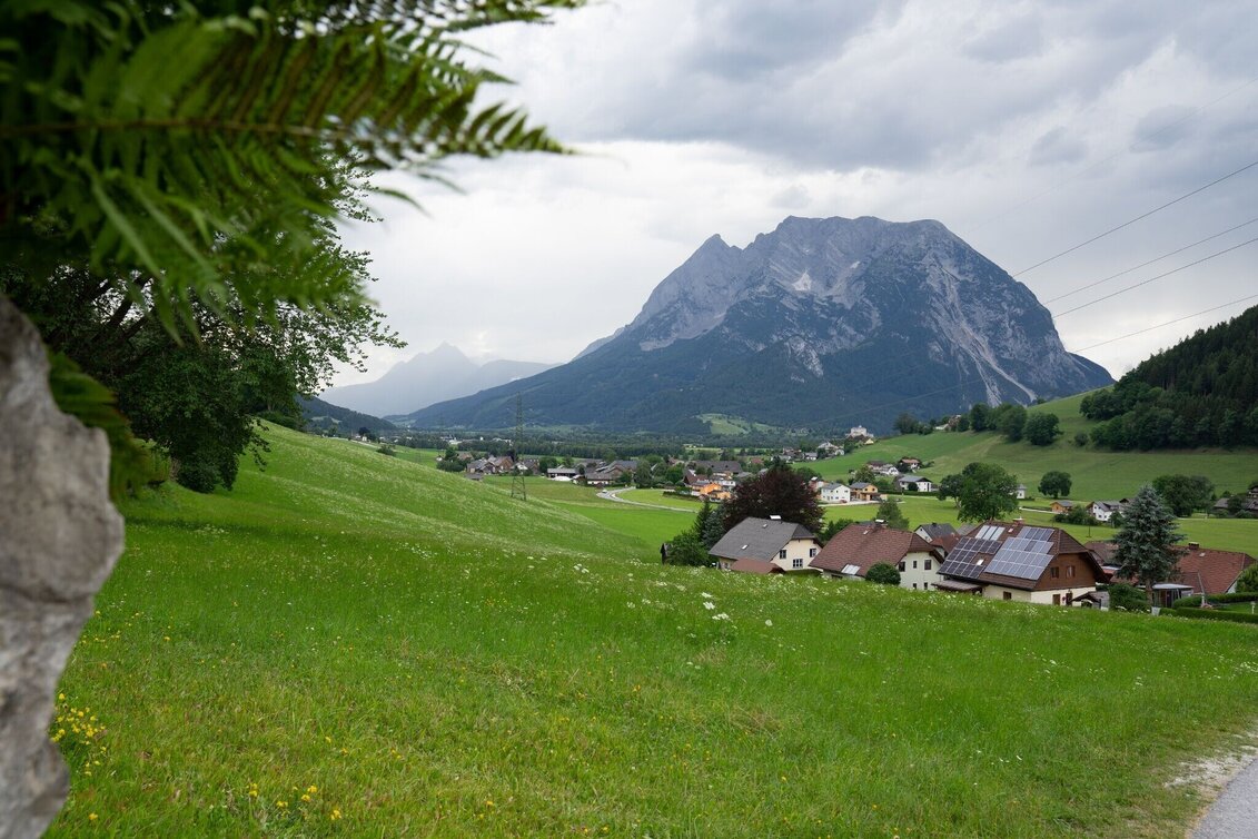 Jogging Katzensteig-Loop - Touren-Impression #1