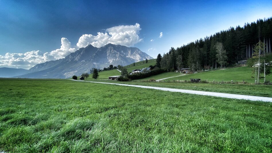 Jogging Heiligenbrunn-Loop - Touren-Impression #2.1 | © Clemens Egger