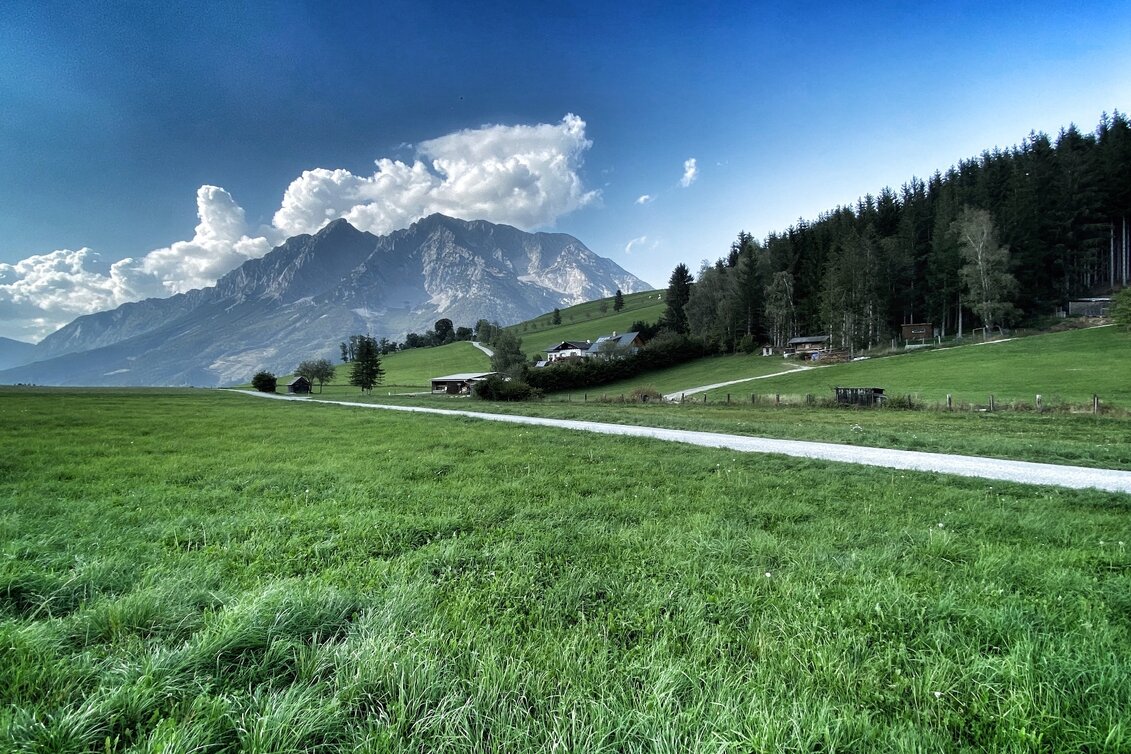 Jogging Heiligenbrunn-Loop - Touren-Impression #1 | © Clemens Egger
