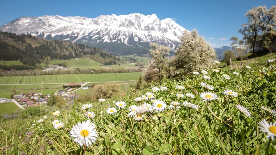 Jogging Heiligenbrunn-Loop - Touren-Impression #2.3 | © Erlebnisregion Schladming-Dachstein