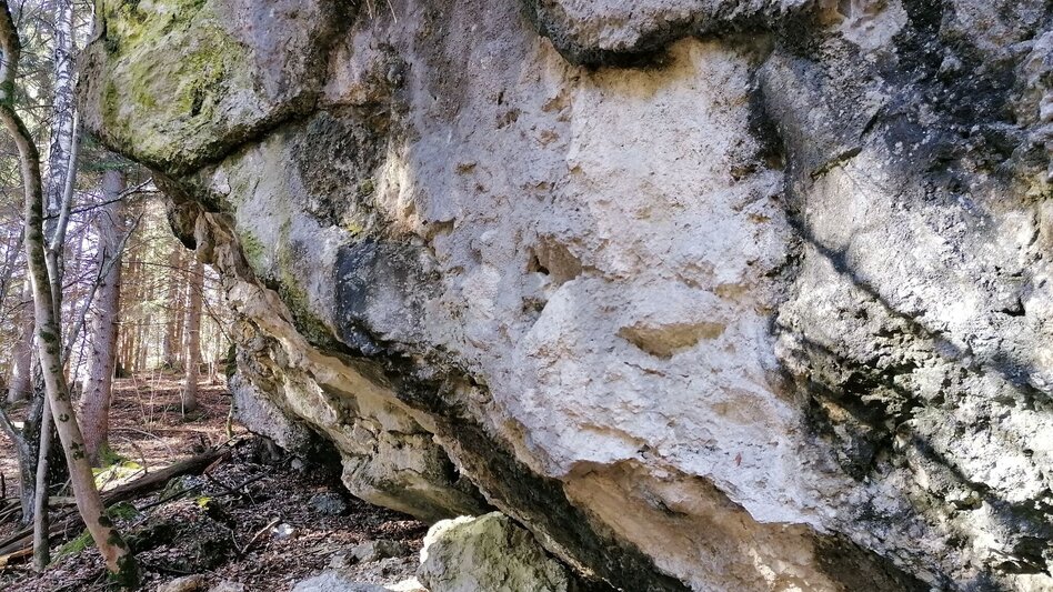 Jogging Fürstensteig-Loop - Touren-Impression #2.6 | © Erlebnisregion Schladming-Dachstein