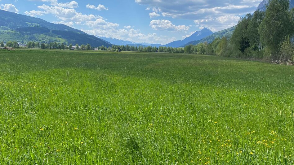 Jogging ATV-Loop - Touren-Impression #2.2