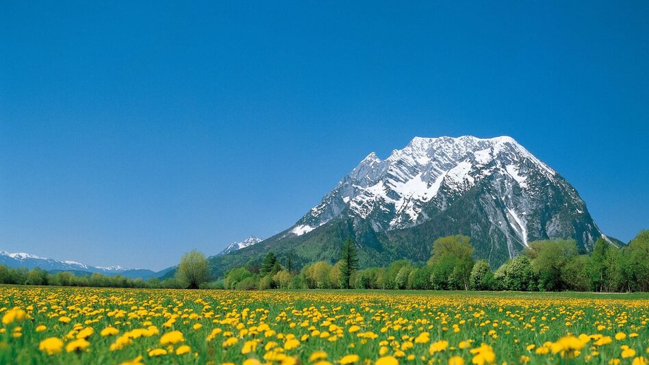 Jogging Moos-Runde - Touren-Impression #2.1 | © Steiermark Tourismus/bigshot.at