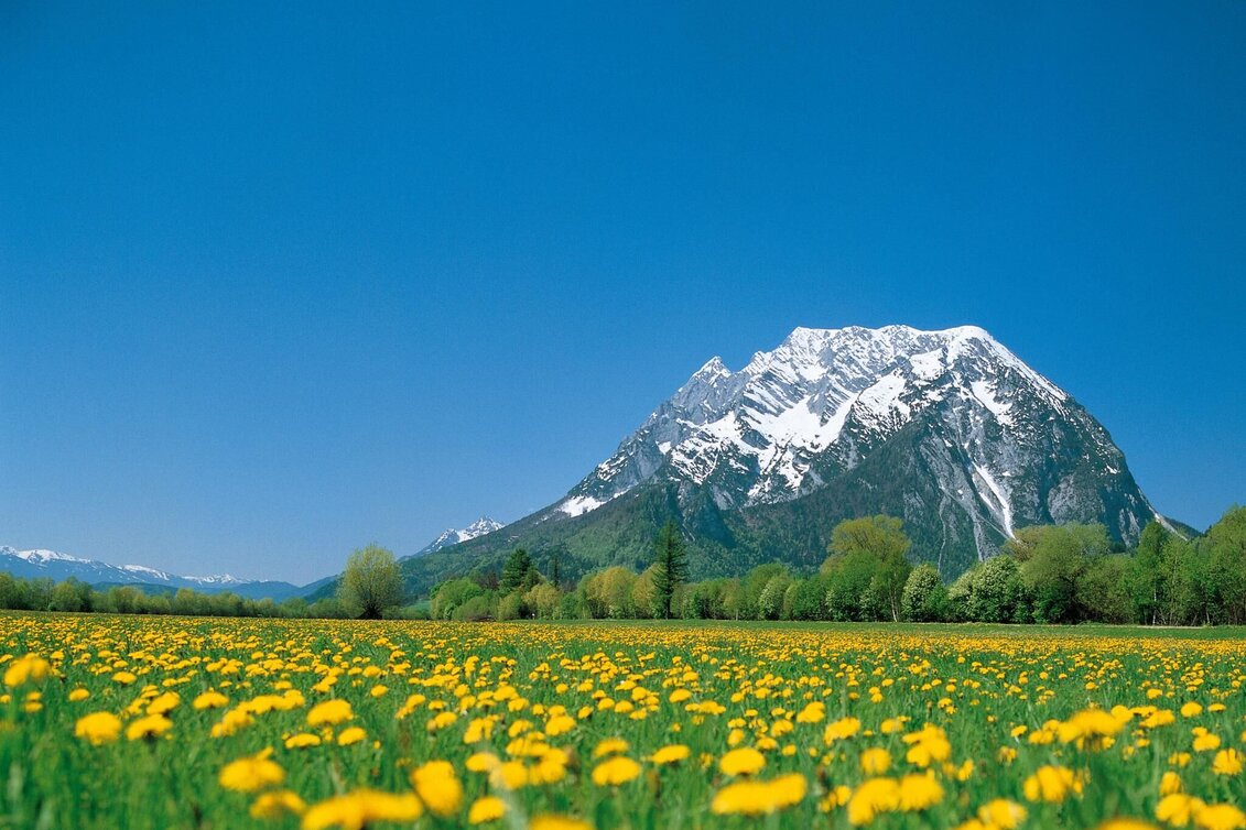 Jogging Moos-Runde - Touren-Impression #1 | © Steiermark Tourismus/bigshot.at